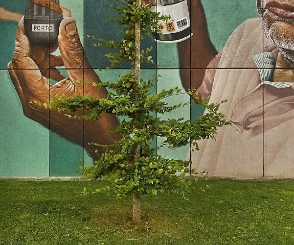 شقة Vrs - Sciences Flat بورتو